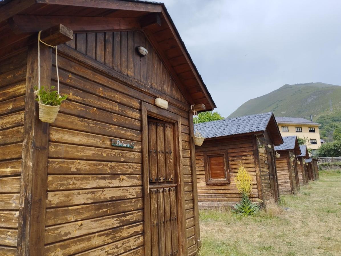 Camping La Zarapica - Palacios Del Sil Exteriér fotografie