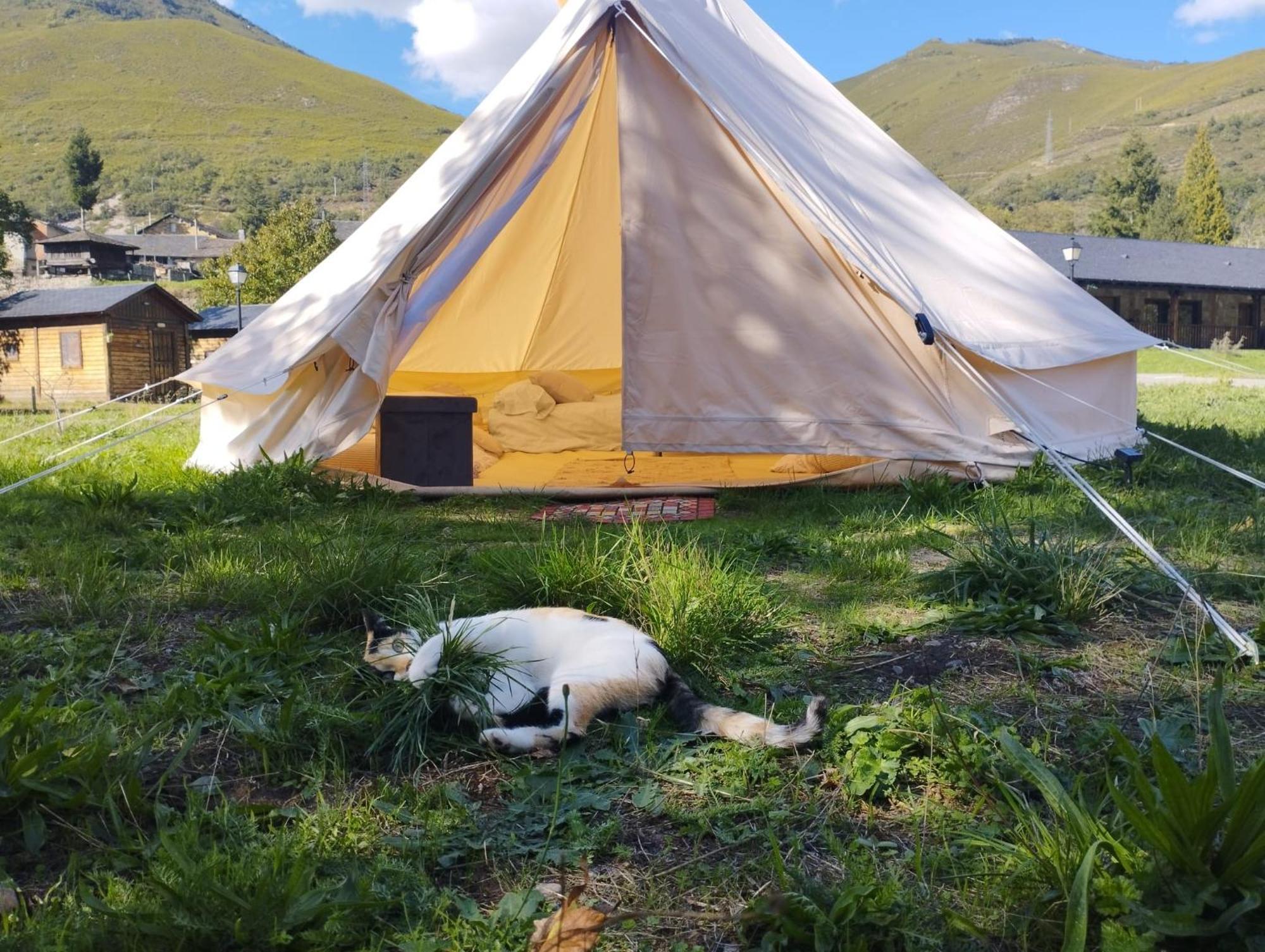 Camping La Zarapica - Palacios Del Sil Exteriér fotografie